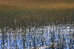 769-Lago Titicaca,13 luglio 2013